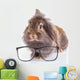 Lion Head Rabbit Bunny Wall Decal