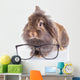Lion Head Rabbit Bunny Wall Decal