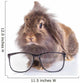 Lion Head Rabbit Bunny Wall Decal