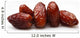 Date Fruits Wall Decal