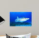 Shark Blue Water with Fish Wall Decal