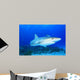 Shark Blue Water with Fish Wall Decal