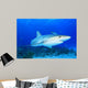 Shark Blue Water with Fish Wall Decal