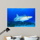 Shark Blue Water with Fish Wall Decal