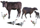 Farm Animals Wall Decal Sticker Set