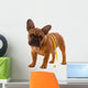 French Bulldog Puppy Diet with Body Tape Measure Wall Decal