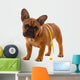 French Bulldog Puppy Diet with Body Tape Measure Wall Decal