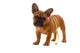 French Bulldog Puppy Diet with Body Tape Measure Wall Decal