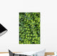 Ivy Foliage Park Wall Decal
