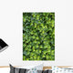 Ivy Foliage Park Wall Decal