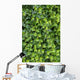Ivy Foliage Park Wall Decal