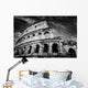 Colosseum Rome Italy Amphitheatre Wall Decal