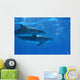 Dolphin Wall Decal