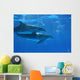 Dolphin Wall Decal