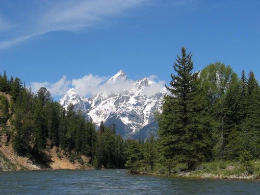 Grand Tetons National Park Wall Decal