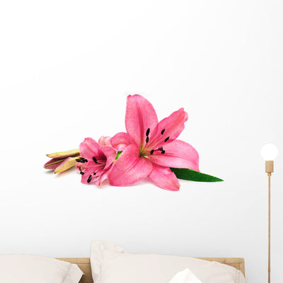 Pink Lily Wall Decal shown on a wall