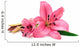 Pink Lily Wall Decal
