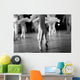 Point Ballet Dancers Wall Decal