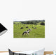 Cows Grazing Fresh Pasture Wall Decal