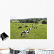 Cows Grazing Fresh Pasture Wall Decal