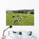 Cows Grazing Fresh Pasture Wall Decal
