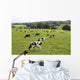 Cows Grazing Fresh Pasture Wall Decal