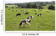 Cows Grazing Fresh Pasture Wall Decal