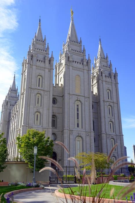 Salt Lake Temple Salt Wall Decal