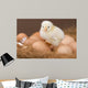 Chick and Eggs Wall Decal