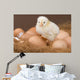 Chick and Eggs Wall Decal