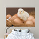 Chick and Eggs Wall Decal