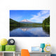 Mt Hood Trillium Lake Wall Decal