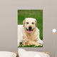 Friends Wall Decal