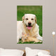 Friends Wall Decal