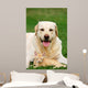 Friends Wall Decal