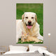 Friends Wall Decal