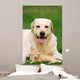 Friends Wall Decal