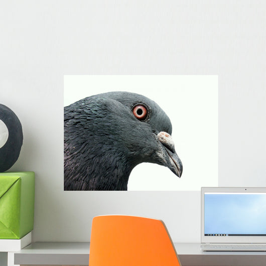 Pigeon Wall Decal