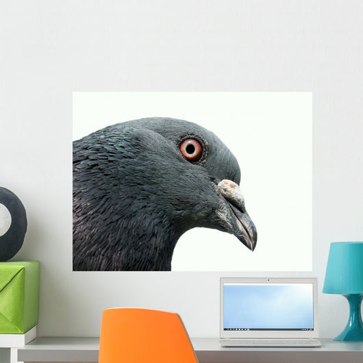 Pigeon Wall Decal