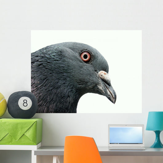 Pigeon Wall Decal