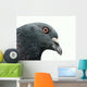 Pigeon Wall Decal
