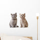 Portrait British Kittens Wall Decal