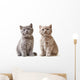 Portrait British Kittens Wall Decal