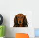 Longhaired Dachshund Dog Wall Decal
