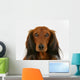 Longhaired Dachshund Dog Wall Decal