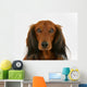 Longhaired Dachshund Dog Wall Decal