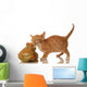 Orange and White Tabby Wall Decal