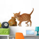 Orange and White Tabby Wall Decal