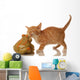 Orange and White Tabby Wall Decal