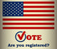 USA 2016 Presidential Election Wall Decal